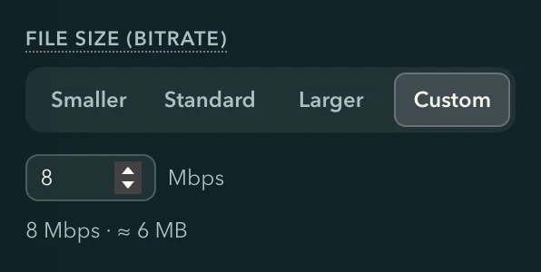 The File size (bitrate) row of the Upscale panel: Smaller, Standard, Larger and Custom, with a typed bitrate and the expected size under it