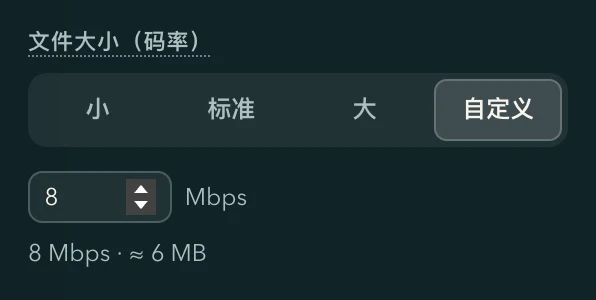 放大面板里的「文件大小（码率）」：小、标准、大、自定义，下面是填的码率和预计大小