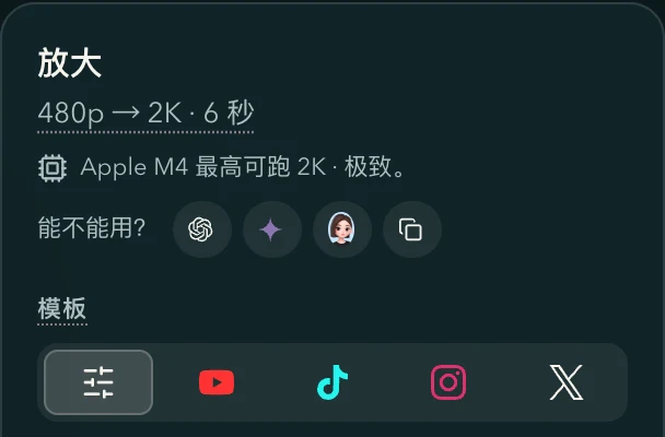放大面板的顶部：摘要一行、显卡能跑到哪一档，以及「能不能用？」后面的 ChatGPT、Gemini、豆包和复制图标